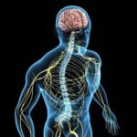 mobilizacao_neural_avaliação_e_tratamento