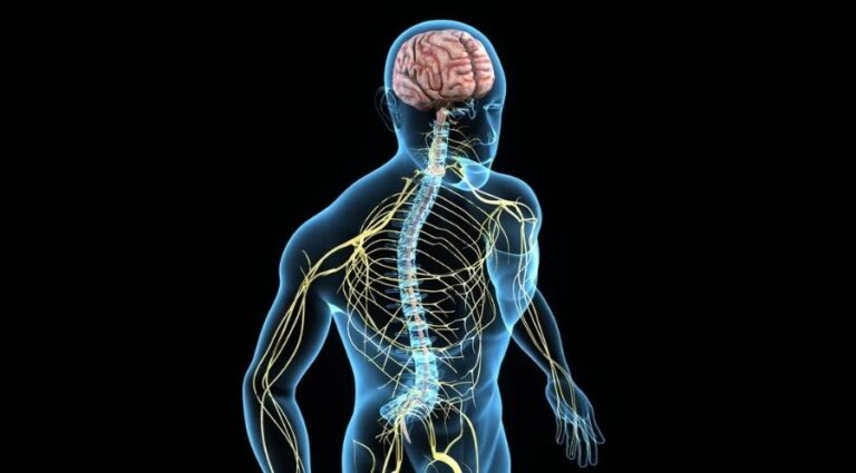 mobilizacao_neural_avaliação_e_tratamento